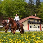 Top 7 des logements dans les jolis petits villages autour du lac de Bled