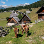 Un séjour rando parfait dans les montagnes slovènes