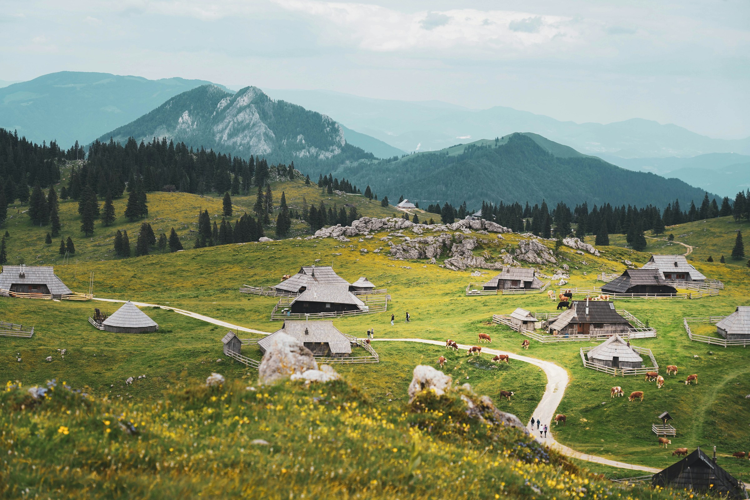 Velika Planina La Plus Belle Rando De Slov nie Conseils Cartes 