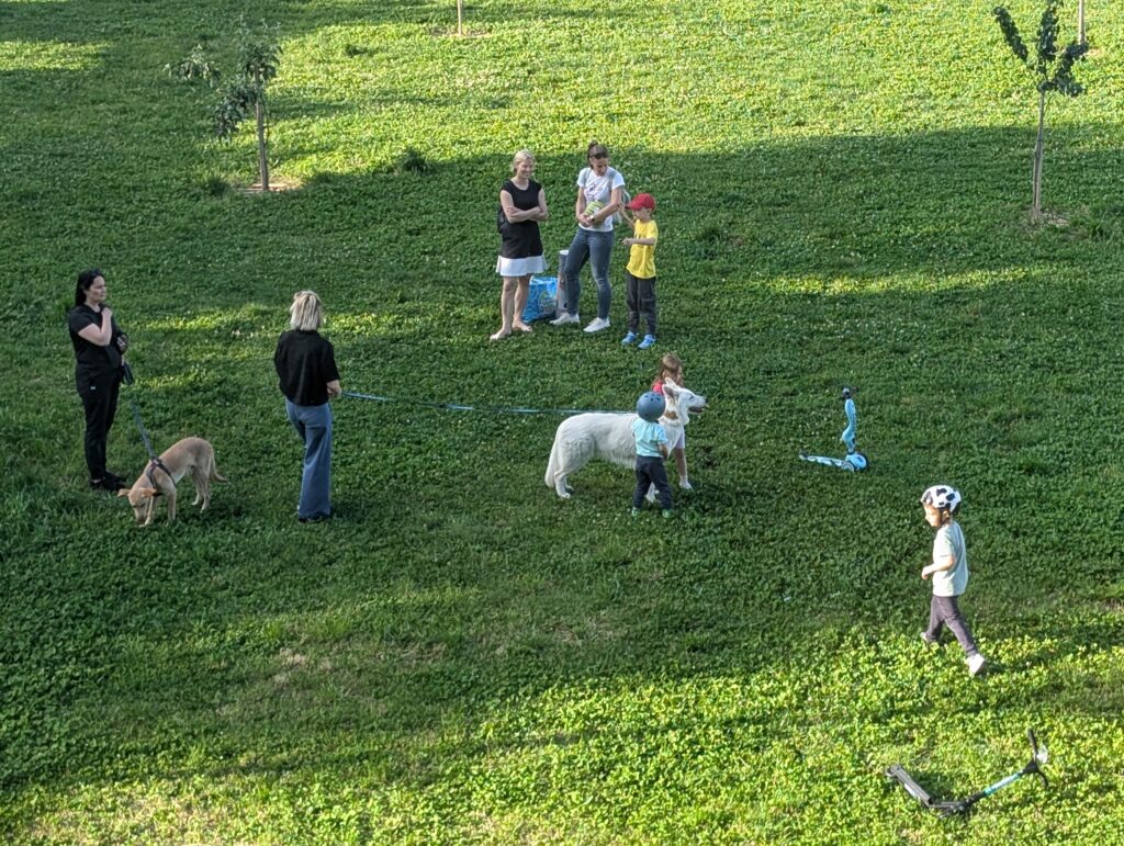 Enfants et chiens dans un parc Ljubljana